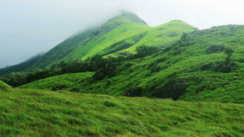 chembra-peak-wayanad