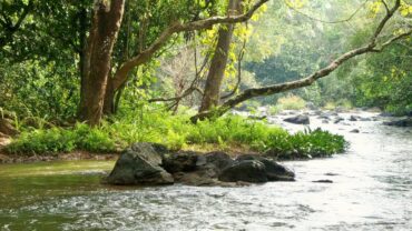 kuruva-island-wayanad