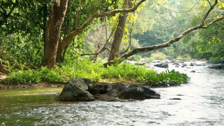 kuruva-island-wayanad